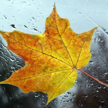 Погода на октябрь в Украине — сыро, дождливо и заморозки