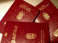 Группа националистов требовала под МИД реакции Климкина на ситуацию с выдачей венгерских паспортов украинцам на Закарпатье