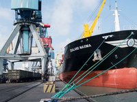 Мариупольский морпорт в январе-августе сократил перевалку грузов на 6,14%