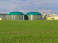 ЕБРР намерен запустить в Украине программу по биоэнергетике на EUR70-80 млн