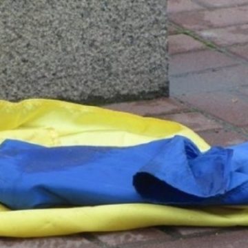 На Житомирщине неизвестный надругался над флагом Украины