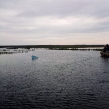 В Полтавской области перевернулась лодка: ищут четырех человек