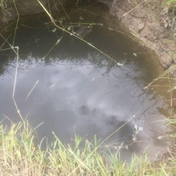 Во Львовской области полуторагодовалая девочка утонула в колодце