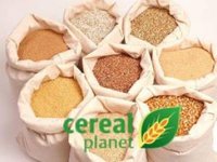 Cereal Planet прекращает бизнес в Украине и продает активы