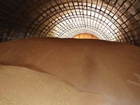 Україна в жовтні може зіткнутися з дефіцитом складів для 10-15 млн тонн зерна – прем’єр