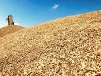 Мінсільгосп США у липні зменшив на 2 млн тонн оцінку врожаю пшениці в Україні у 2022/2023 МР