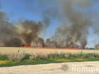 Пожежі, спричинені ворожими обстрілами, знищили понад 46,6 га пшениці та 2 га ячменю на Харківщині