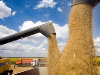 Бельгія і Франція виділяють EUR10 млн і EUR6 млн на програму «Зерно з України»