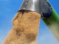 Україна має отримати політичні гарантії перед будівництвом зернових хабів в Африці – міністр Сольський