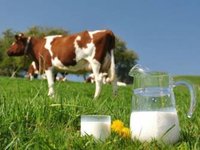 Канада відкрила свій ринок для української молочної продукції