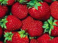 Польські садівники вимагають зупинити імпорт української полуниці