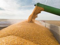 Заборона на імпорт українського зерна в Угорщину має діяти і після вересня — Орбан