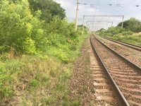 Українська та польська залізниці домовилися про спільний розвиток перевезень