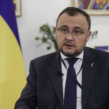 Найближчими тижнями планується візит спецгрупи Task Force в Україну на чолі з міністром торгівлі Туреччини — посол