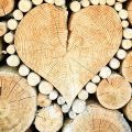 ДП «Ліси України» у I кв.-2024 наростило виручку за реалізацію деревини на 30,8%