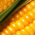 Китай скоротить імпорт кукурудзи з України для підтримки власних фермерів